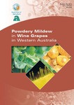 Powdery mildew in wine grapes in Western Australia