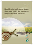 Identification and control of pest slugs and snails for broadacre crops in Western Australia