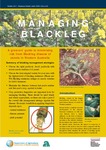 Managing Blackleg : A grower's guide to minimising risk from Blackleg disease of canola in Western Australia